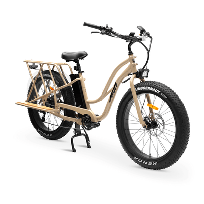 Cargo electric bike australia