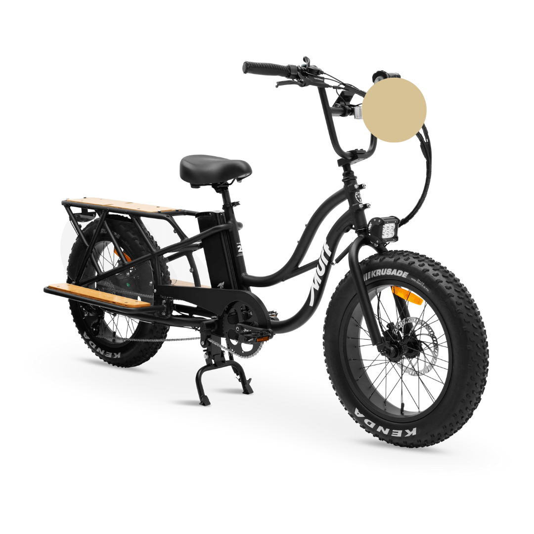 Family electric bike