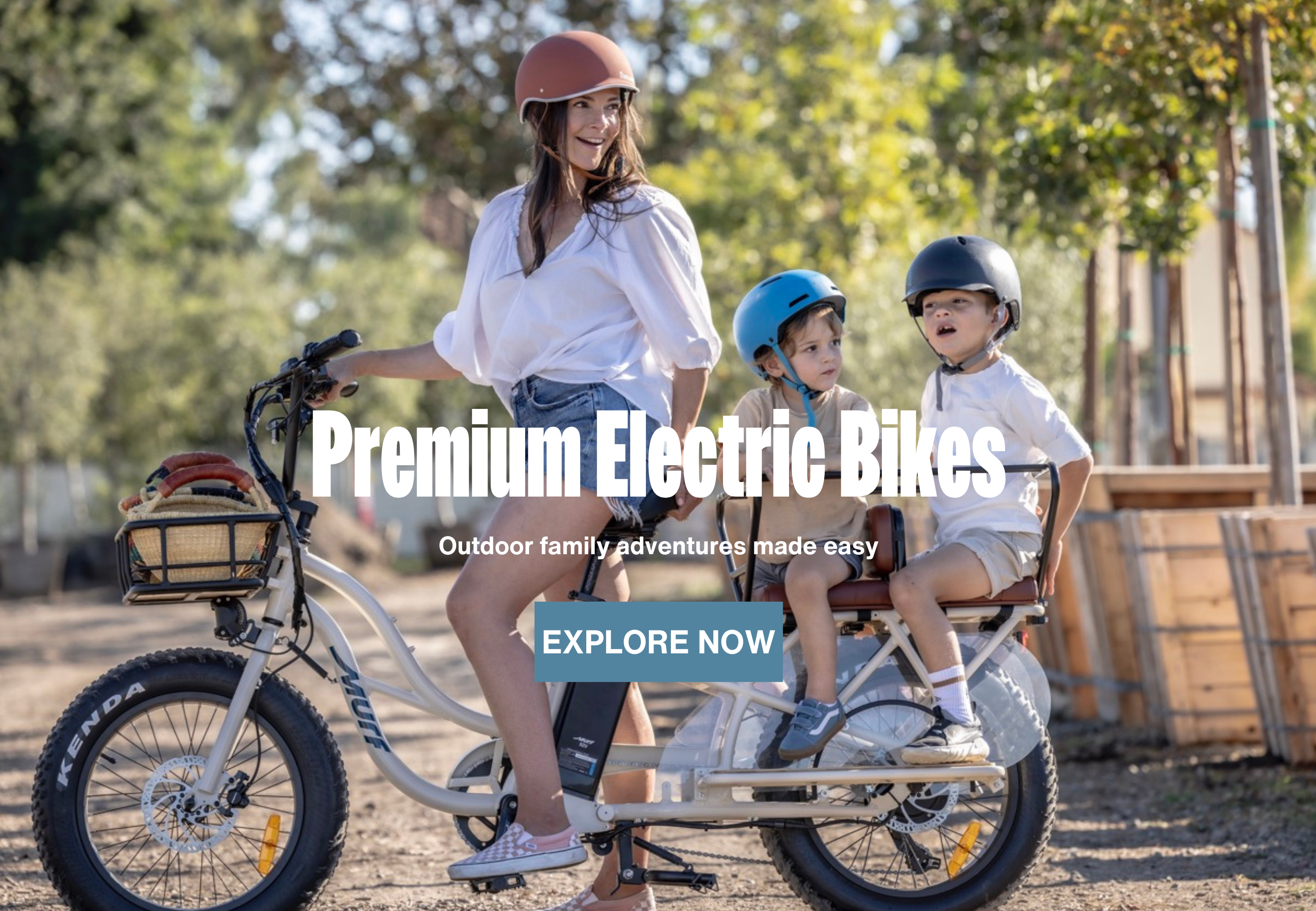 Family friendly cargo electric bikes