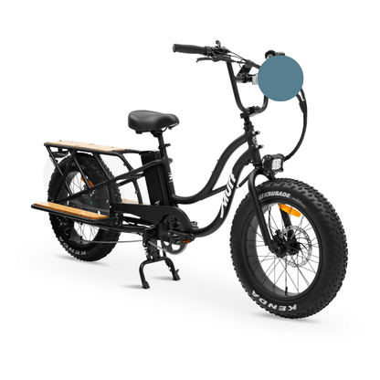 family electric bike australIa